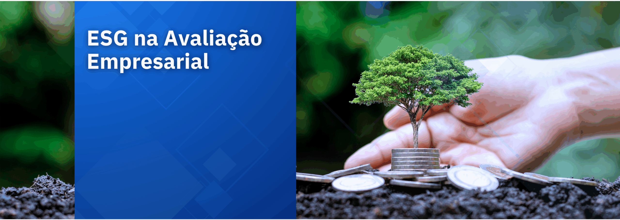 ESG na Avaliação Empresarial