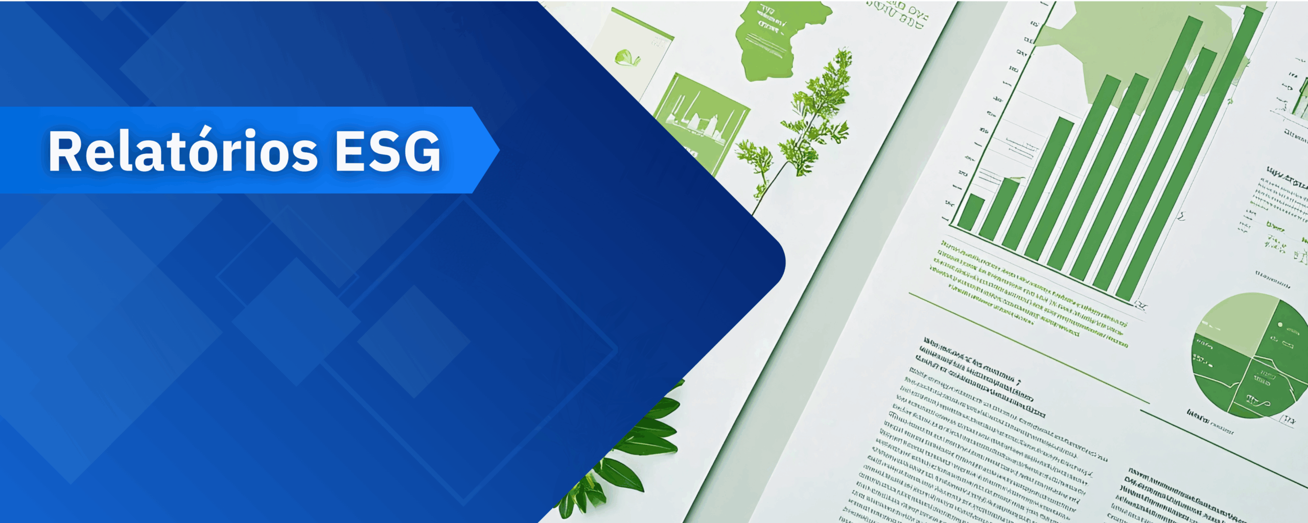 Relatórios ESG que aumentam o interesse de investidores